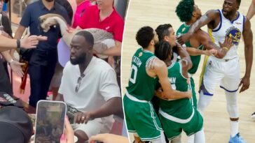 sneaky-goose-leaves-warriors-tough-guy-draymond-green-running-scared:-‘oh-sh–‘