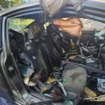 colorado-black-bear-dies-after-becoming-trapped-inside-unlocked-car-for-days:-report