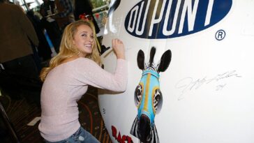 hayden-panettiere-said-bizarre-zebra-accident-left-her-with-chronic-pain-as-opioid-use-escalated