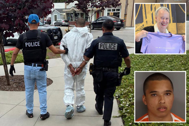 teen-accused-of-butchering-beloved-artist-in-mall-attack-that-shocked-quiet-california-beach-town-enters-stunning-plea