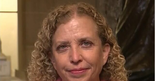 wasserman-schultz:-i-reject-the-dsa,-the-fringe-left-socialism-they-are-promoting