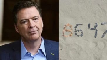 no-kidding…-doj-says-there’s-‘no-serious-dispute’-fired-fbi-chief-comey’s-seashell-post-could-be-read-as-trump-threat