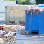 20-tons-of-slimy-squid-spill-on-rhode-island-roadway-—-blanketing-area-in-foul-odor