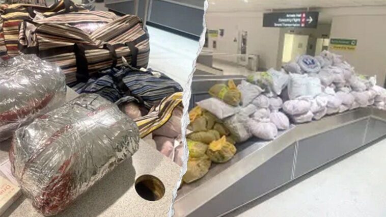 cbp-officers-seize-nearly-850-pounds-of-khat-packed-into-12-suitcases-after-flight-from-london