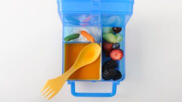 eight-easy-maha-back-to-school-snacks-your-kids-will-love