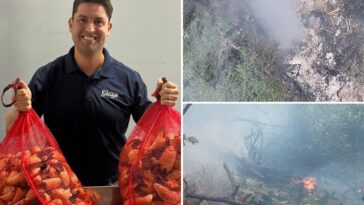 millionaire-food-entrepreneur-once-on-forbes-30-under-30-among-5-americans-killed-in-kenyan-helicopter-crash