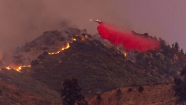 tim-sheehy-is-a-one-man-wrecking-crew-out-to-save-america’s-forests-from-environmental-madness