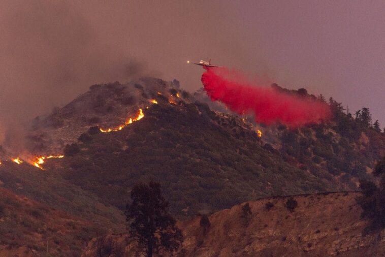 tim-sheehy-is-a-one-man-wrecking-crew-out-to-save-america’s-forests-from-environmental-madness