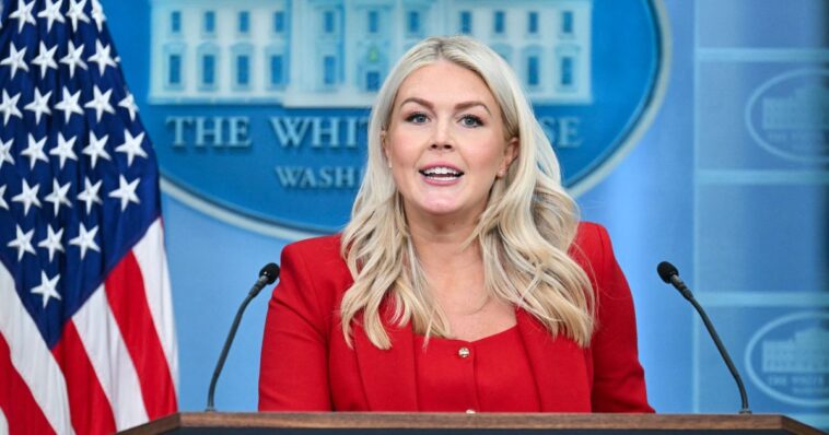 presumed-lead-candidate-to-replace-karoline-leavitt-says-she’s-‘not-in-the-running’