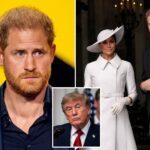 where-prince-harry’s-immigration-case-stands-as-he-prepares-to-leave-us-with-meghan-markle