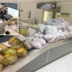 ny-men-busted-at-maryland-airport-for-hauling-roughly-850-pounds-of-khat-on-flight-from-london