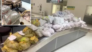 ny-men-busted-at-maryland-airport-for-hauling-roughly-850-pounds-of-khat-on-flight-from-london