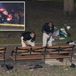 maniac-fatally-stabbed-mom,-30,-inside-nyc-park-in-fit-of-rage-over-spurned-advances-–-in-front-of-her-son,-7:-nypd