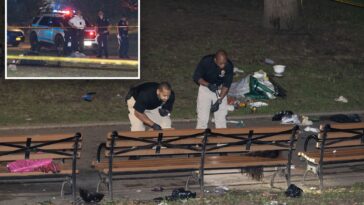 maniac-fatally-stabbed-mom,-30,-inside-nyc-park-in-fit-of-rage-over-spurned-advances-–-in-front-of-her-son,-7:-nypd