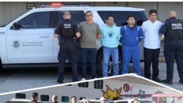 exclusive:-11-cruise-ship-crewmembers-arrested-for-child-porn-offenses