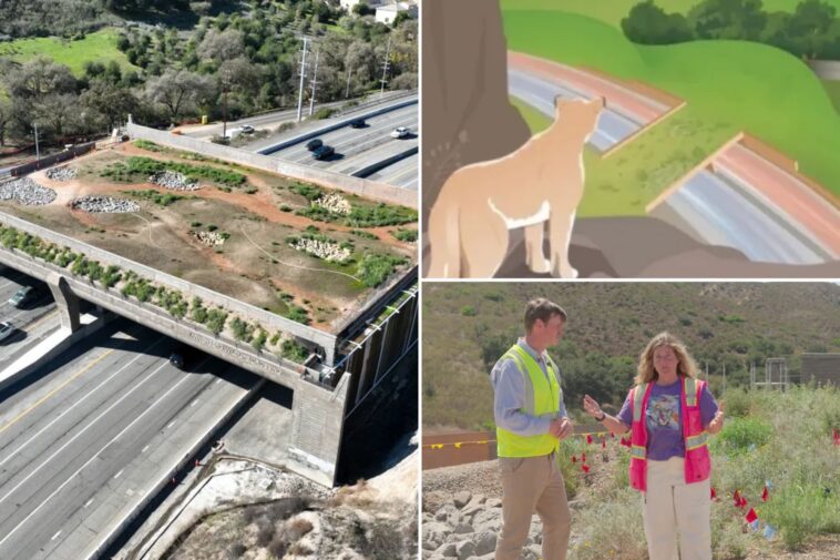 california’s-$114m-wildlife-bridge-wants-$10-from-humans-to-watch-it-open