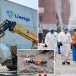 lineage-touts-101.8%-cleanup-completion,-but-there-still-may-be-food-waste-inside
