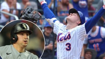 the-hope-the-mets-can-take-from-the-upstart-white-sox