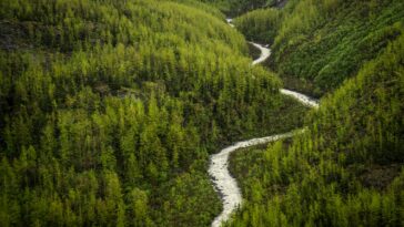 army-engineers-killed-in-remote-alaskan-plane-crash