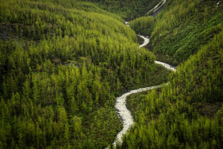 army-engineers-killed-in-remote-alaskan-plane-crash