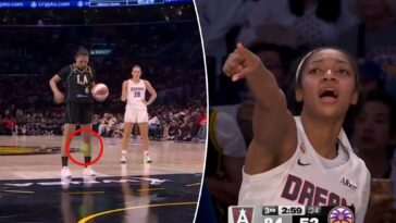 apparent-sex-toy-thrown-onto-court-during-another-wnba-game-—-and-alleged-hurler-caught-fleeing