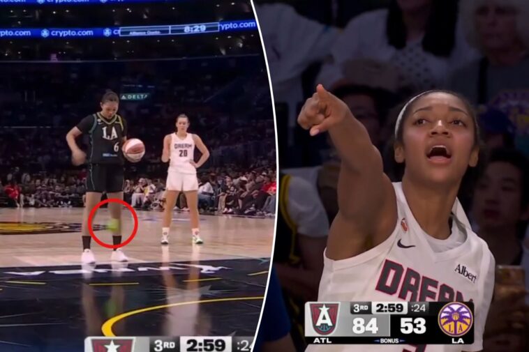 apparent-sex-toy-thrown-onto-court-during-another-wnba-game-—-and-alleged-hurler-caught-fleeing