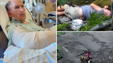 tourist-falls-120-feet-trying-to-get-better-view-at-national-park-—-and-somehow-survives