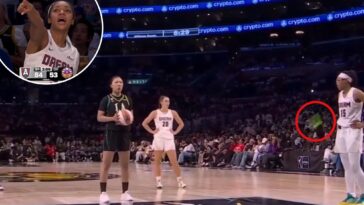 alleged-sex-toy-thrower-arrested-after-interrupting-wnba-game-—-and-stern-punishment-delivered