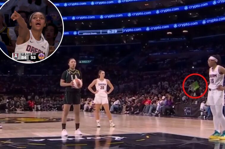 alleged-sex-toy-thrower-arrested-after-interrupting-wnba-game-—-and-stern-punishment-delivered