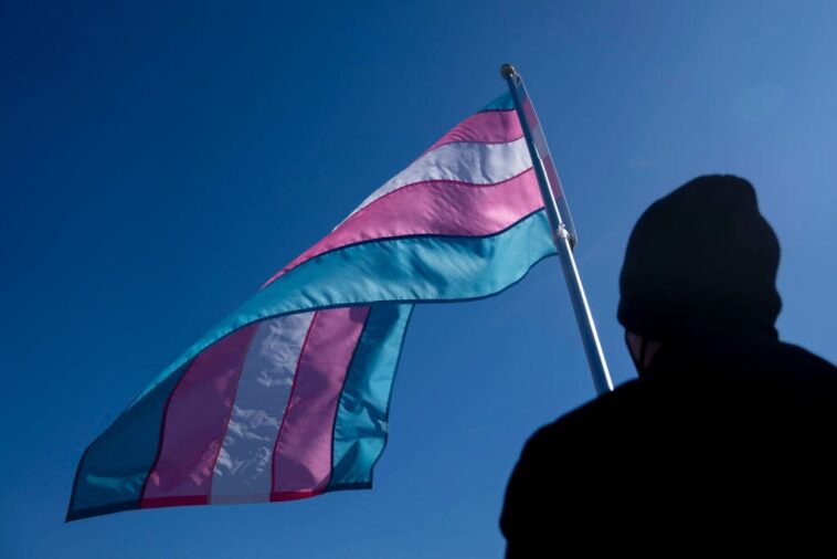 trump-stops-giving-hormones-to-trans-identifying-illegal-immigrants-in-ice-detention