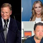 megyn-kelly,-dave-portnoy-blast-nfl’s-roger-goodell-for-suggesting-super-bowl-could-be-played-outside-us