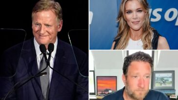 megyn-kelly,-dave-portnoy-blast-nfl’s-roger-goodell-for-suggesting-super-bowl-could-be-played-outside-us