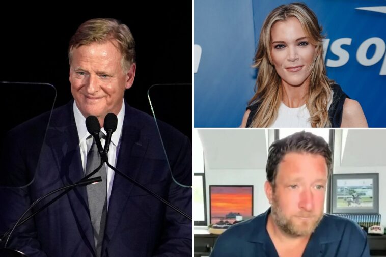 megyn-kelly,-dave-portnoy-blast-nfl’s-roger-goodell-for-suggesting-super-bowl-could-be-played-outside-us