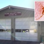 disgusting-infestation-forces-firefighters-to-evacuate-bay-area-station