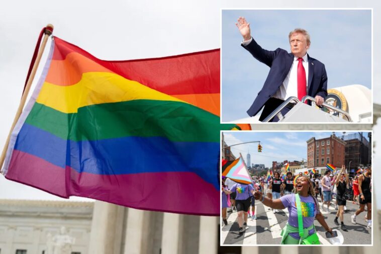 log-cabin-republicans-vote-to-scrap-transgender-issues:-‘we-are-an-lgb-organization’ 