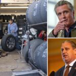 california-senator-demands-resignation-of-energy-board-over-controversial-tire-rule