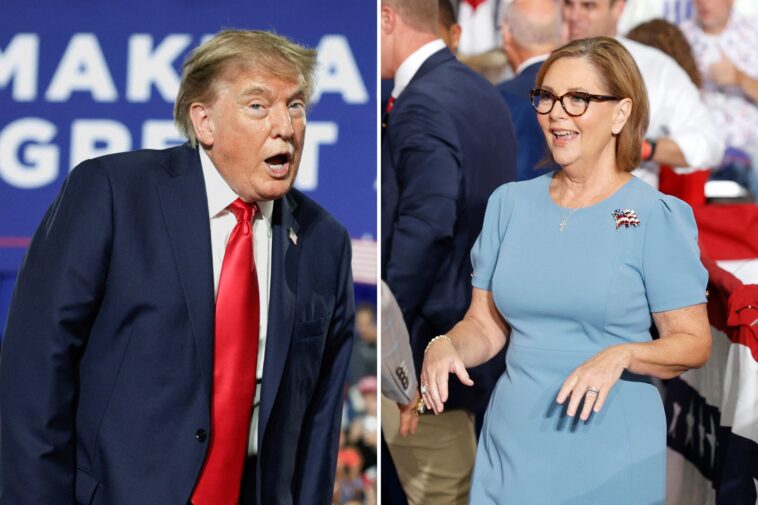 trump-warns-sc-voters-they’ll-‘lose-everything’-if-darline-graham-doesn’t-win-senate-race:-‘pretend-i’m-on-the-ballot’