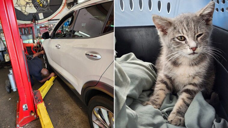 surprise-traveler-trapped-beneath-car-for-hundreds-of-miles-gets-new-chance-at-life