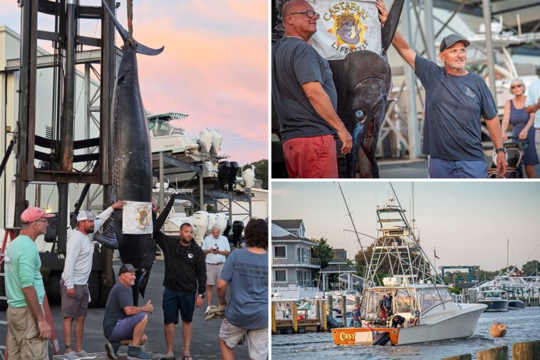 fishermen-stunned-when-they-hooked-this-massive-sea-beast-—-believed-to-be-the-biggest-of-its-kind-caught-on-east-coast