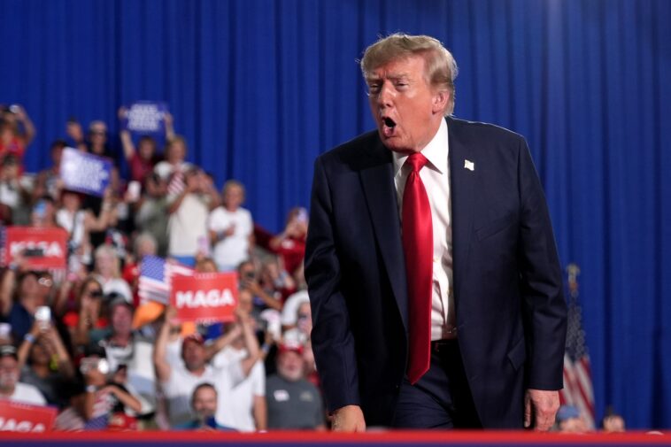 trump-fires-back-after-protester-interrupts-myrtle-beach-rally-for-darline-graham:-‘mom-is-voting-for-us’