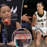 natasha-cloud-rips-‘weak’-men-for-throwing-sex-toys-on-court-during-wnba-games-in-nsfw-rant:-‘lame-as-f–k’