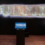 the-oldest-bibles-on-earth-leave-america-in-two-weeks-—-then-return-to-the-dark