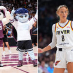 wnba-team-reveals-new-queer-turtle-mascot-to-taunt-indiana-fever-star-sophie-cunningham