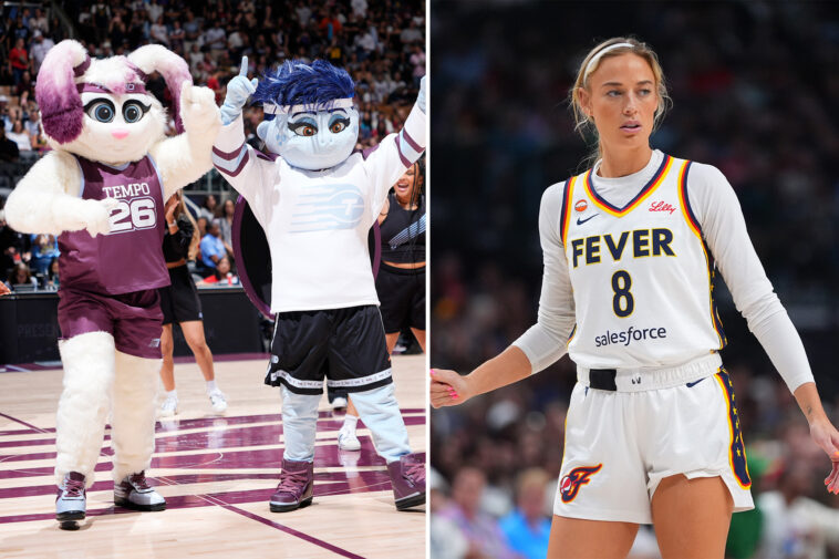 wnba-team-reveals-new-queer-turtle-mascot-to-taunt-indiana-fever-star-sophie-cunningham