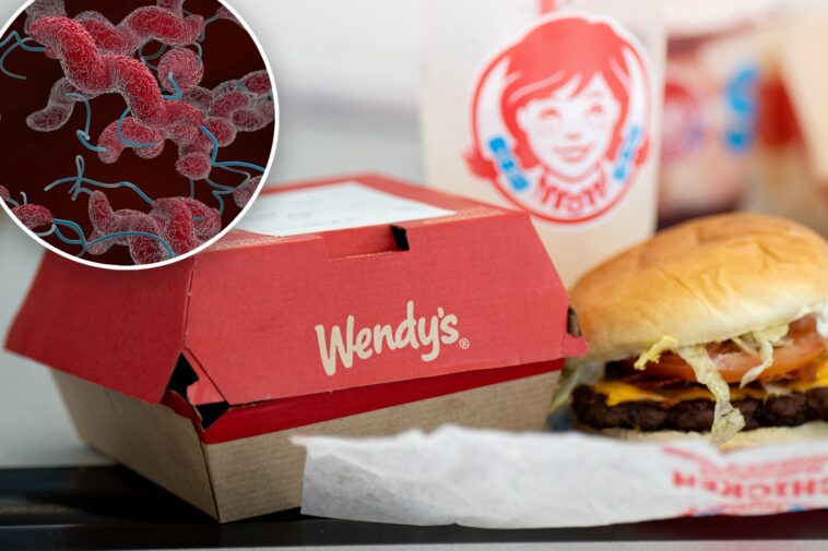 chicago-woman-hospitalized-twice-after-eating-wendy’s-‘bacteria-tainted’-double-cheseburger:-lawsuit