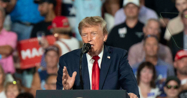 video:-trump-tells-supporters-at-rally-to-‘pretend’-he’s-on-the-november-ballot