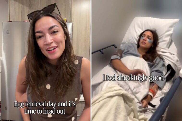 aoc-announces-completion-of-egg-retrieval-journey,-vows-to-share-more-public-updates-on-process
