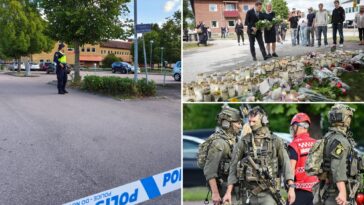 student-killed-in-sword-attack-at-a-swedish-school-id’d-as-17-year-old-girl