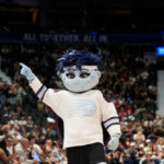 wnba-team-debuts-‘non-binary’-turtle-mascot-in-apparent-taunt-directed-at-sophie-cunningham