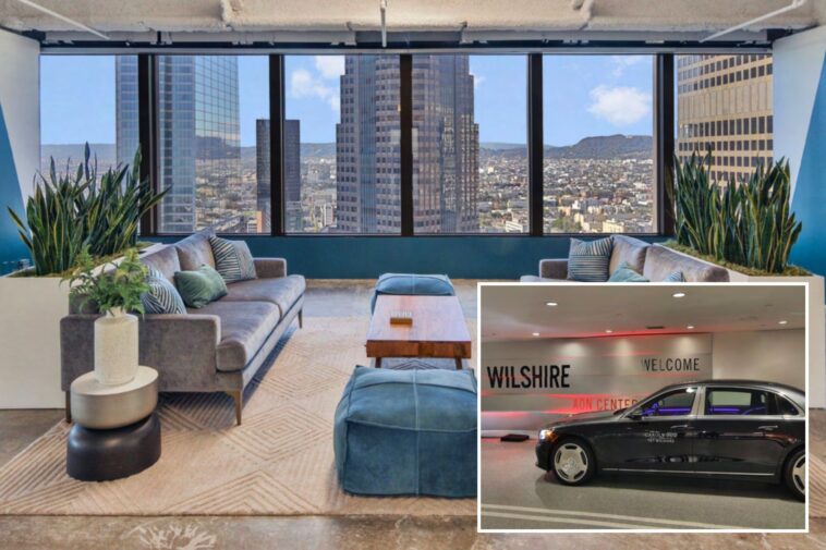troubled-homeless-agency-rents-digs-in-luxe-la-tower-—-with-helipad,-car-service-and-cold-plunge